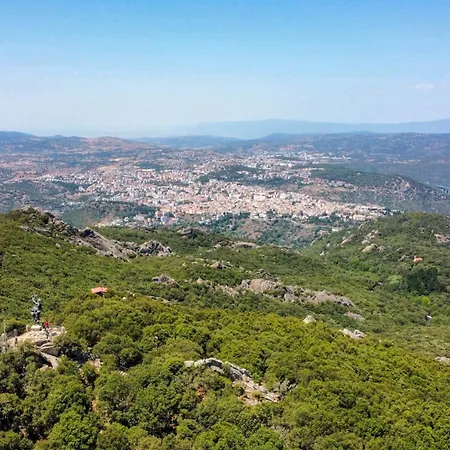 Daire Monte Ortobene 1 *