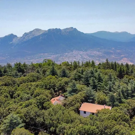 Monte Ortobene 1 Apartment