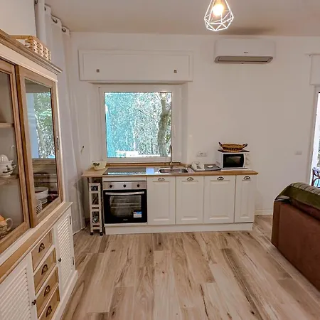 Monte Ortobene 1 アパート *